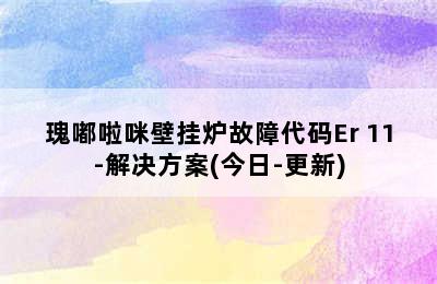 瑰嘟啦咪壁挂炉故障代码Er 11-解决方案(今日-更新)